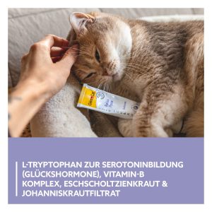 جیم کت خمیر آرام‌بخش گربه جیم کت GimCat Relax Paste خمیر آرام‌بخش گربه جیم کت GimCat Relax Paste 4002064421698 خمیر آرام‌بخش گربه جیم کت GimCat Relax Paste