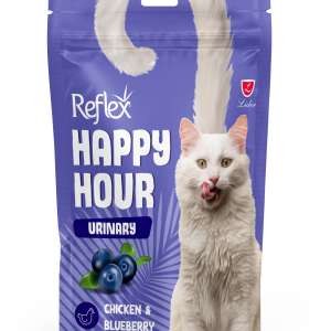 تشویقی مغزدار گربه یورنری